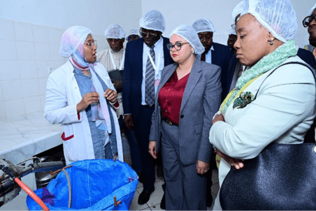 Marjana Cooperative - Morocco